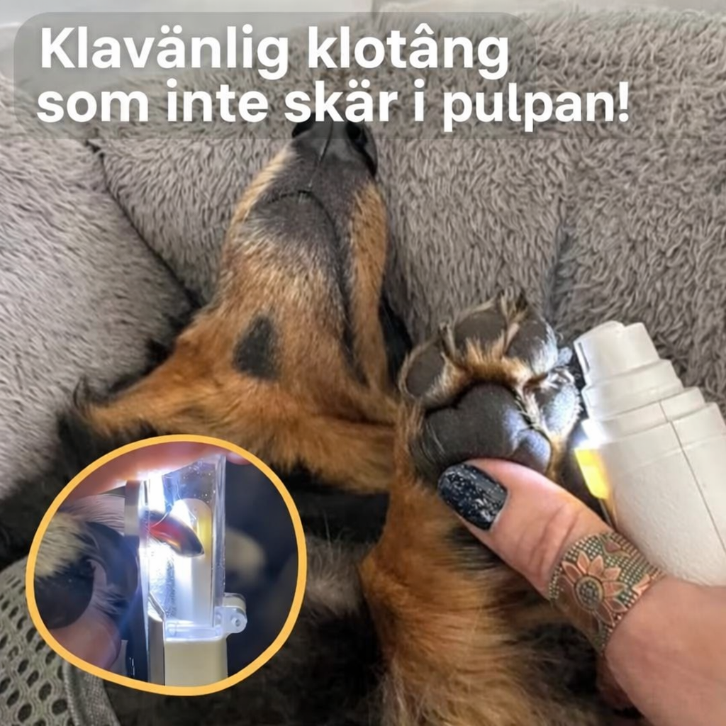 LjusKlo™ Pro | Säker kloklippning